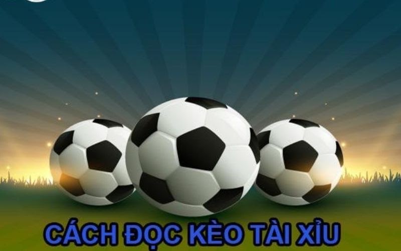 Tài xỉu bóng đá nhà cái B52 - Cược đỉnh cao cùng niềm đam mê thể thao